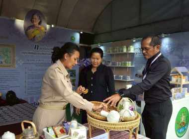 สมเด็จพระกนิษฐาธิราชเจ้า กรมสมเด็จพระเทพรัตนราชสุดาฯ ... พารามิเตอร์รูปภาพ 13